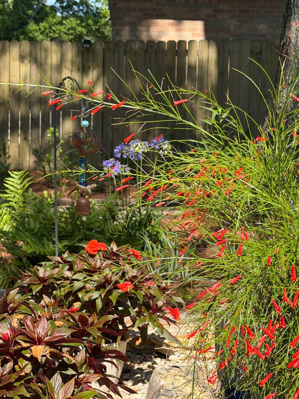 Seasonal color and planter project photo 13