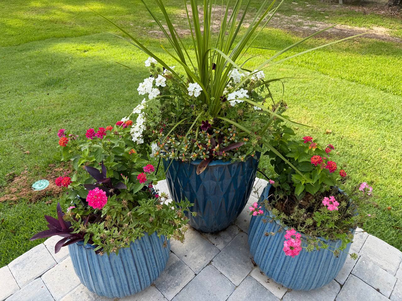Seasonal color and planter project photo 19