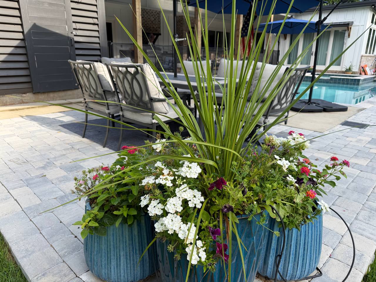 Seasonal color and planter project photo 3