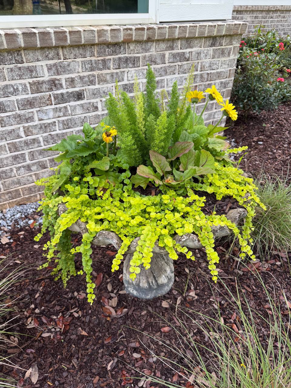 Seasonal color and planter project photo 8